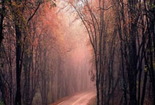 买球网站 -荣耀终端取得(dé)文档描(miáo)述信息生成方(fāng)法专利