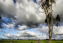 买球网站 -荣耀终端取得(dé)文档描(miáo)述信息生成方(fāng)法专利